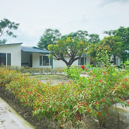 Sukoon - A Wellness Resort, Uttarakhand Chuharpur 外观 照片