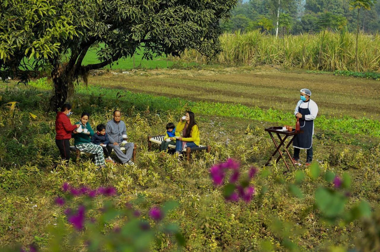 Sukoon - A Wellness Resort, Uttarakhand Chuharpur 外观 照片