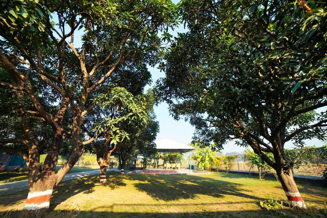 Sukoon - A Wellness Resort, Uttarakhand Chuharpur 外观 照片