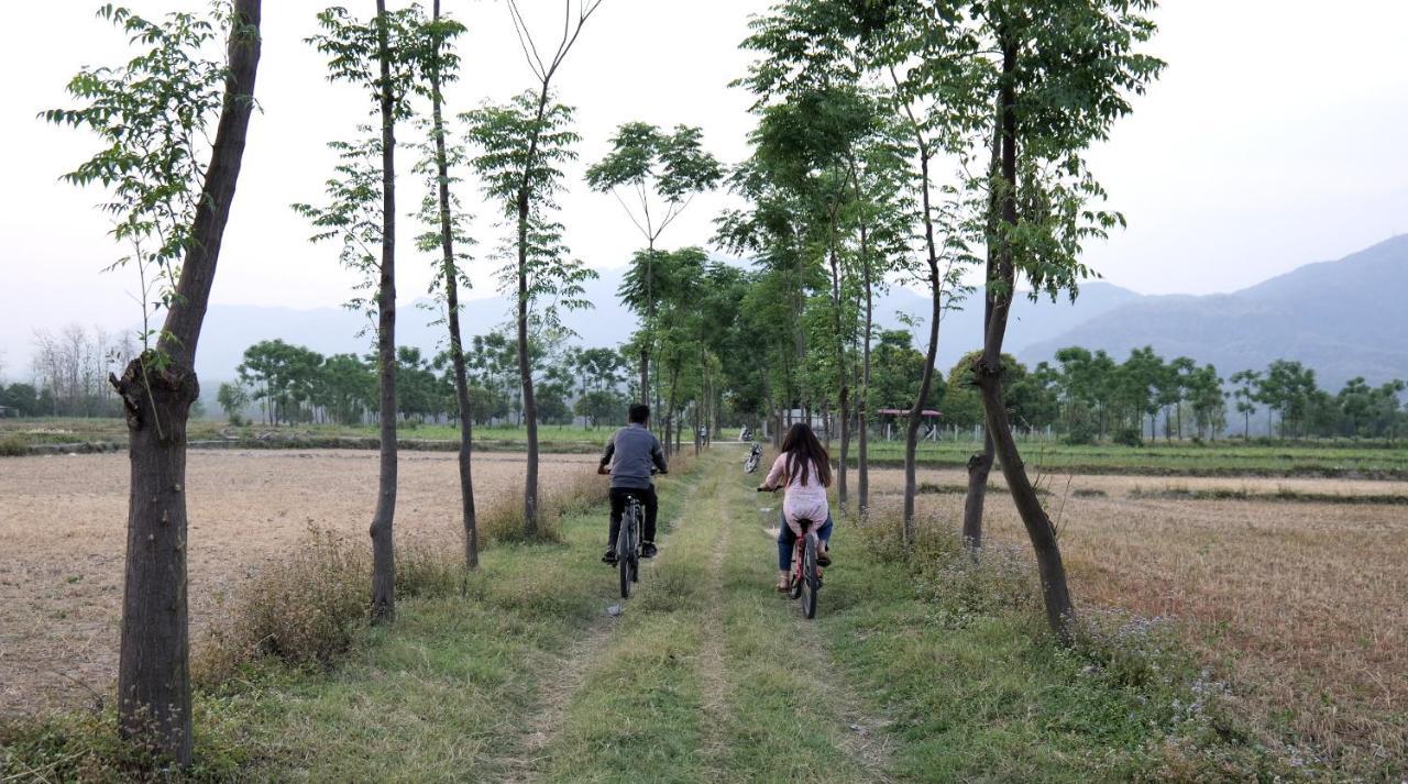 Sukoon - A Wellness Resort, Uttarakhand Chuharpur 外观 照片